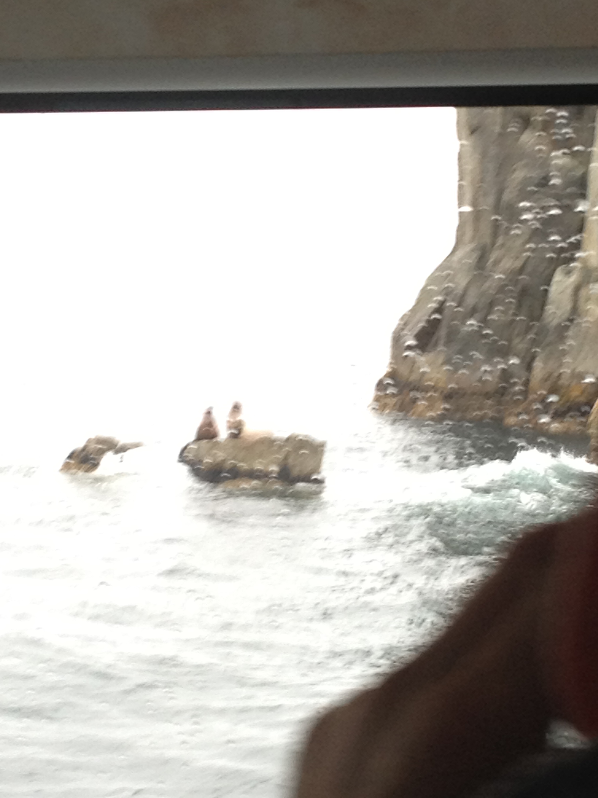 Click to return to the thumbnail index